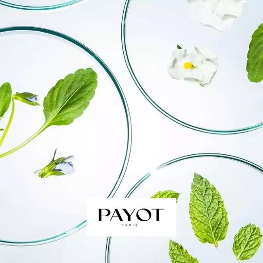 Actifs Produits Payot